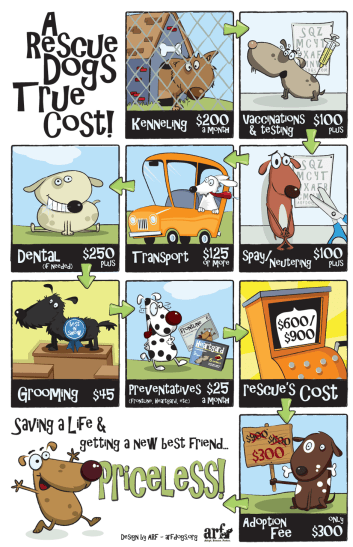 3137c-cartoon-dogs